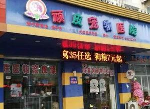 嘉善宠物店爆料视频播放,揭秘宠物行业背后真相