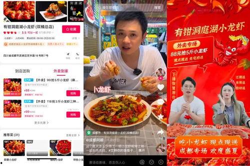嘉善宠物店爆料视频播放,揭秘宠物行业背后真相