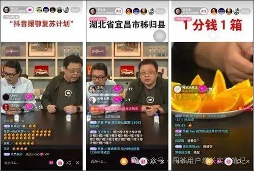 陕西八套在线直播观看,实时捕捉三秦大地精彩瞬间