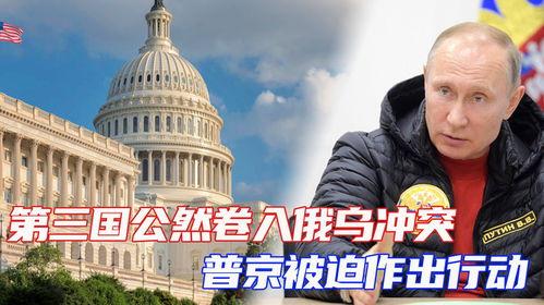 爆料俄乌冲突最新动态,战局突变，国际局势再掀波澜
