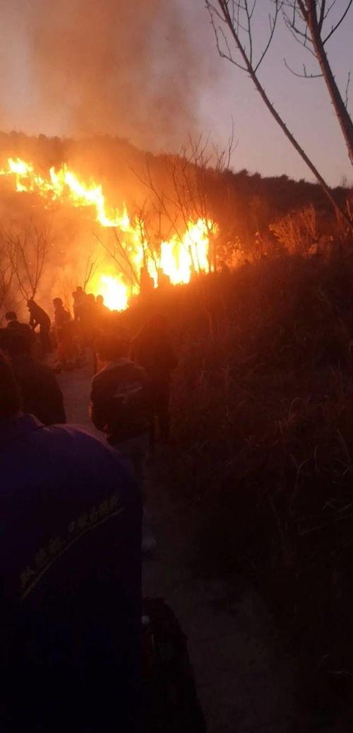 狮子山爆料视频最新版,惊人内幕曝光！