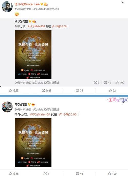 小雨视频爆料网站大全最新,热门平台一网打尽
