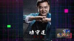 爆料功夫视频大全,揭秘武术传奇，领略中华武术风采